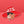 DST Red White Greek Letter Hat Pin