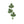 AKA Sorority Green Pink Ivy Leaf Brooch for Women