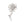 ZPB Sisterhood Sparkle Blue Rose Blooming Brooch