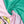 AKA Sorority Pale Pink Green Fashion Shawl Scarf