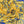 SGRHO Soror Yellow Blue Leopard Structured Kimono