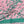 AKA Sorority Pink Green Leopard Structured Kimono