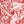 DST Sorority Red White Leopard Structured Kimono