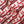 DST Red and Cream Fortitude Sorority Square Scarf