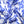 ZPB Blue and White Dove Square Sorority Scarf