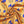 SGRHO Mustard Yellow and Blue Poodle Square Scarf