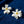 Stud Cream Flower Oversized Wavy Petal Earrings