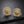 Stud Die Cut Gold and Leather Rose Ring Earrings