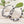 Hoop Leopard Pattern Silver Bamboo Earrings Women