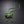 Long Y Brilliant Green Blooming Flower Necklace