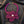 Brilliant Fuchsia Blooming Flower Choker Necklace