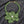 Brilliant Green Blooming Flower Choker Necklace