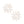 Stud Small Gold Marquise Flower Earrings for Women