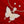 Choker Gold Pearl Butterfly Pendant Necklace