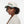 It's the Pink Green for Me Baseball Cap