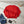 DST Greek Gear L Red Embroidered Crew Sweatshirt