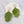 AKA Green and Pink Tropical Leaf Drop Earrings