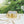 Mini Gold Quatrefoil Sparkle Crossbody Compact