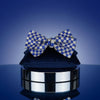 ZPB Merch Blue Clear Checker Stone Bow Hair Clip