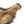 Lion Head Mane Wig Hair Fur Headgear Small Cat Dog Puppy Pet Costume Cosplay
