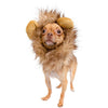 Lion Head Mane Wig Hair Fur Headgear Small Cat Dog Puppy Pet Costume Cosplay