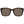 Brown Men Sunglasses