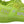 Green CARTER Logo Hi-Top Sneakers Shoes