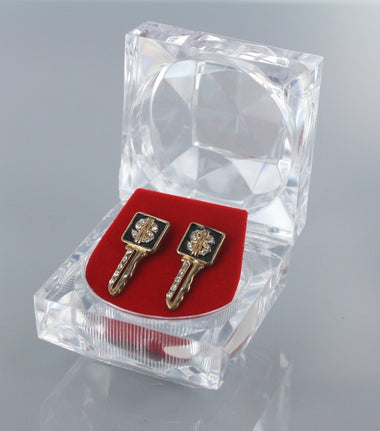 Earring9384