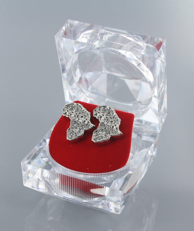 Earring9391
