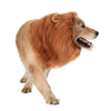 Pet Dog Puppy Cat Fur Wig Lion Costume Halloween Clothes Dress Up Cosplay Hat
