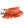 Orange Fringe Fanny Pack
