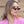 Women Retro Windproof Glasses Bella Tiny Cat Eye Sunglasses Sun protection UV400