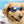 Dog Cat Goggles Eye Wear UV Protection Foldable Adjustable Waterproof Pet Sungla